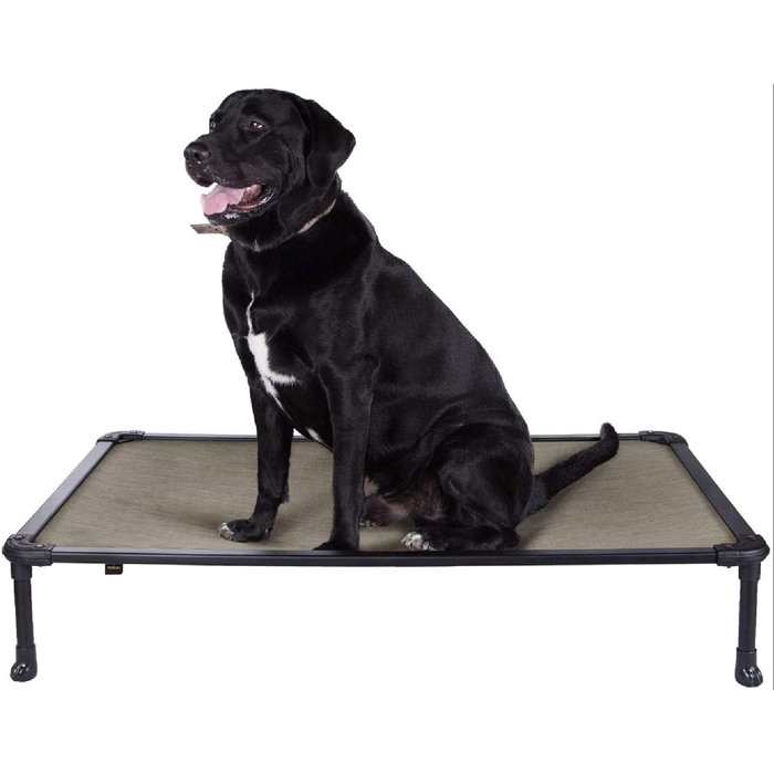 Glaustoncn Chew Proof Elevated Dog Bed Cooling Raised Pet Cot For